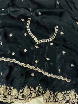 Black Color Sequence Embrodairy Cuttwork  art silk saree 3