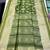 Parrot Green Color hand woven Patola Silk Saree