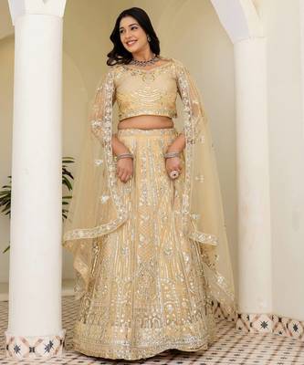 Blue butterfly net wedding wear lehenga choli for women 3