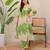 green a line rayon floral printed kurta pant set for women