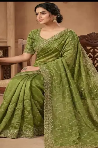 Parrot green pure space silk saree with beautiful sequence embroidery work with cut work border