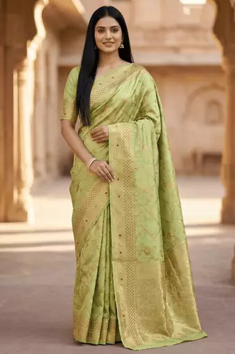 Banarasi  pure silk chiniya saree in pista green colour with floral  zari zig-zag pattern with red colour meenakari