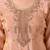 Peach tissue embroidered sharara set