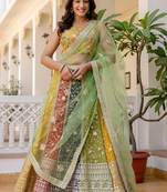 Multi-Color Panel Lehenga
