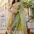 Multi-Color Panel Lehenga