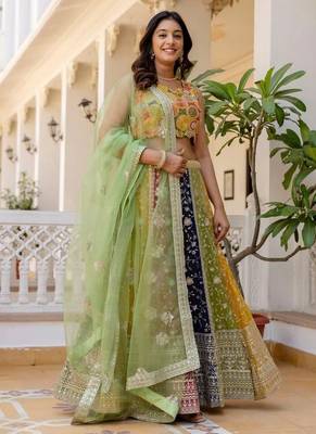 Multi-Color Panel Lehenga 4