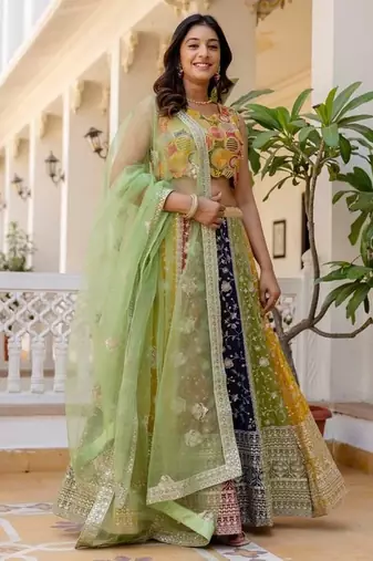 Multi-Color Panel Lehenga