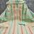Elegant mint green striped embroidered kurta set with dupatta for women