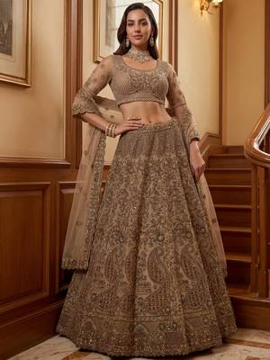 Grand Beige Zari Embroidery Net Sangeet Wear Lehenga Choli With Dupatta 2