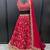 Eilara Women's Machine Red Georgette Embroidered Lehenga Choli