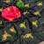 Black rangoli silk embroidery work party wear designer saree
