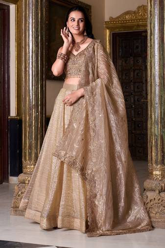 Beige Plain Gold Crush Lehenga Choli with Embroidered Dupatta