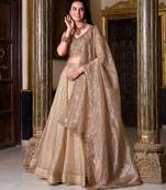 Beige Plain Gold Crush Lehenga Choli with Embroidered Dupatta