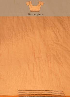 Brown Shaded Lace Border & Zari Checks Organza Saree 4