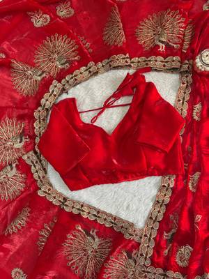 Red Color  Multi Embroidery  & Siroski Hand Work Satin Saree 2