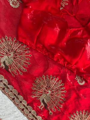 Red Color  Multi Embroidery  & Siroski Hand Work Satin Saree 4