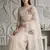 White  Color  thread Embroidery work with Cutwork patch and border Work Crystel Organza Saree