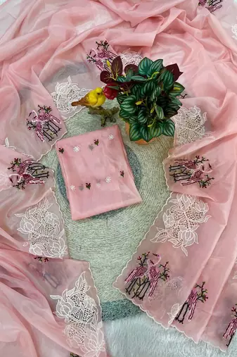 Light Pink Color  thread Embroidery work with Cutwork patch and border Work Crystel Organza Saree