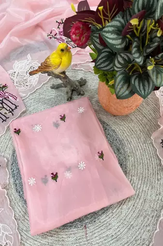 Light Pink Color  thread Embroidery work with Cutwork patch and border Work Crystel Organza Saree