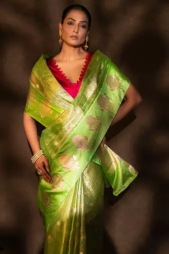 green handloom tissue silk saree with shimmer finish