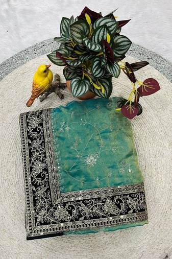 Sky Color  jari dori with Sequins Embroidery Work Silk Saree