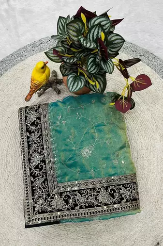 Sky Color  jari dori with Sequins Embroidery Work Silk Saree