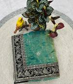 Sky Color  jari dori with Sequins Embroidery Work Silk Saree