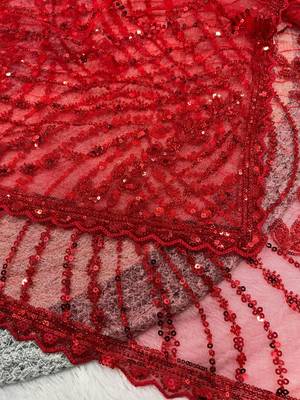 Red Color Jaal Work,Sequins with Beads Work Butterfly Net Saree 2