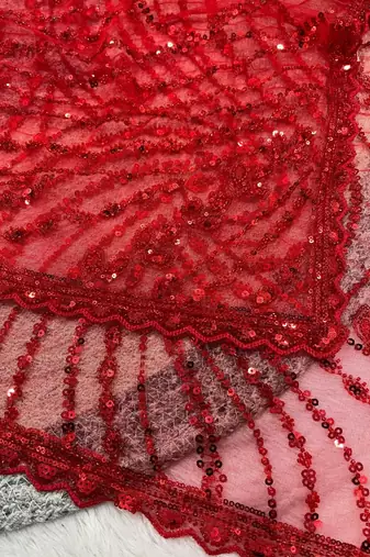 Red Color Jaal Work,Sequins with Beads Work Butterfly Net Saree