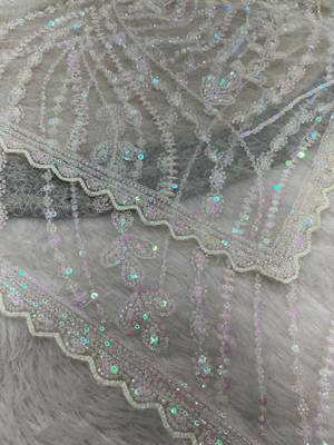 White Color Jaal Work,Sequins with Beads Work Butterfly Net Saree 2