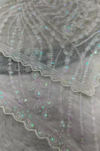 White Color Jaal Work,Sequins with Beads Work Butterfly Net Saree