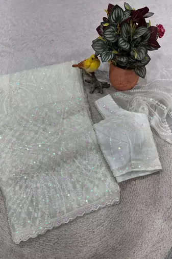 White Color Jaal Work,Sequins with Beads Work Butterfly Net Saree