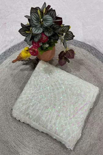 White Color Jaal Work,Sequins with Beads Work Butterfly Net Saree