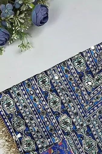 Multi Color  Digital print with Aari work &  mirror work Japan satin  Saree