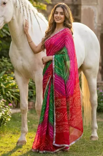Multicolor saree