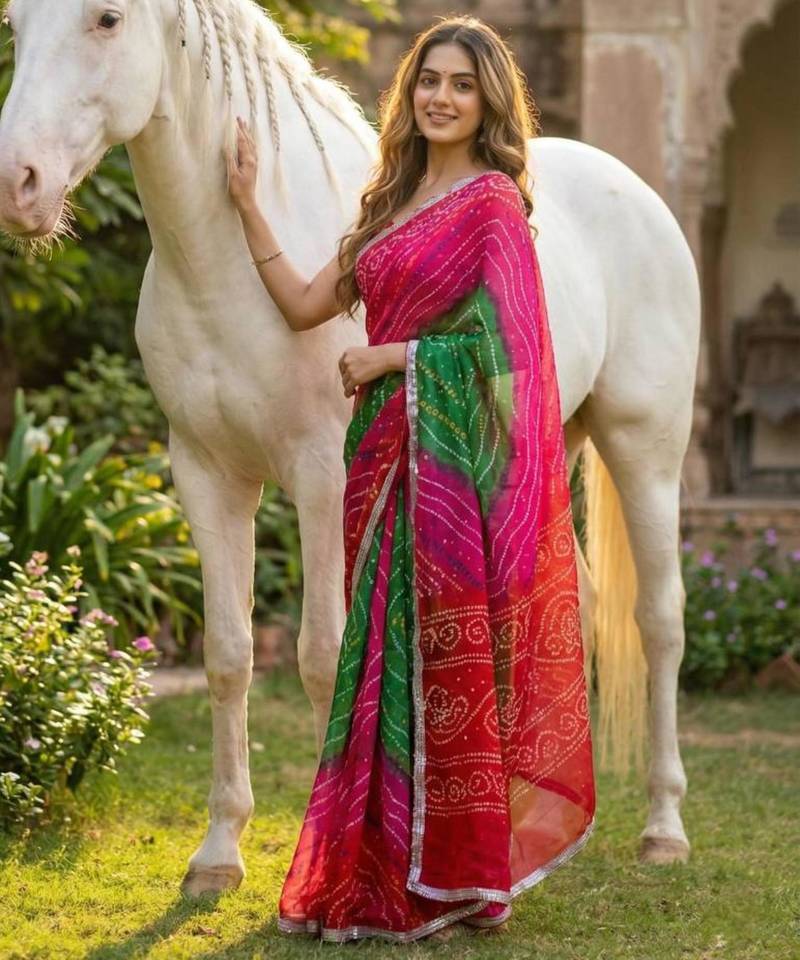 Multicolor saree