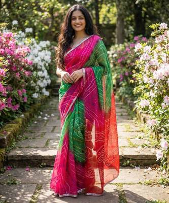 Multicolor saree 2
