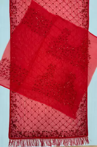 Red sequin designer saree