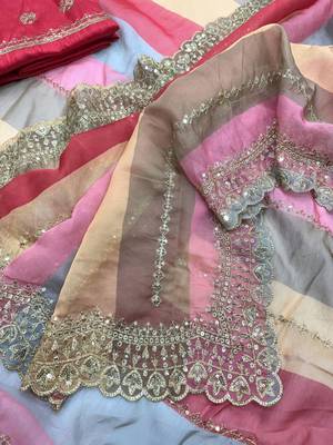 Pastel multicolor saree 2