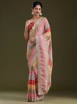 Pastel multicolor saree 3
