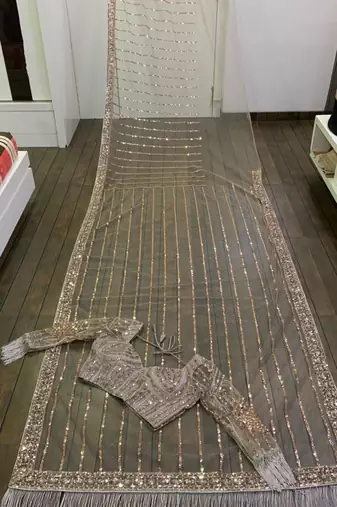 Beige net saree with sequin stripes