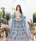 Sky Blue Color Sequins and Jari  Embroidery Work Net Lahenga Choli Set