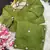 Green Hand Khatli And Cutdana Butta Work And Border Aarco Art Silk Saree