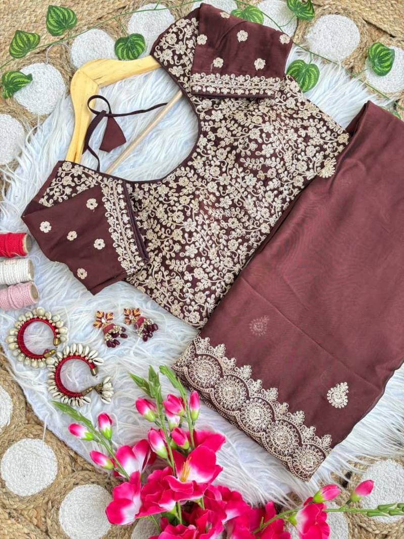 Brown Color embroidery sequence work Silk Saree