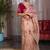 Peach Color Cut Dana Flower Work  Georgette Saree