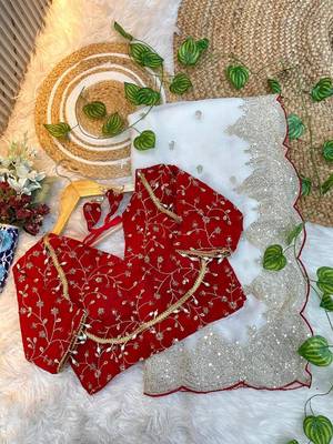 White Color embroidery sequence border work Chiffon Saree 3