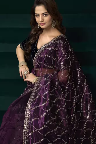 Women wine embroidered net saree