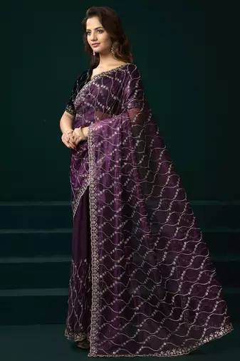 Women wine embroidered net saree