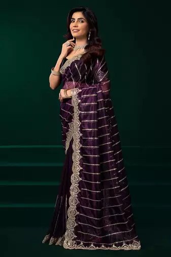 Women wine embroidered net saree