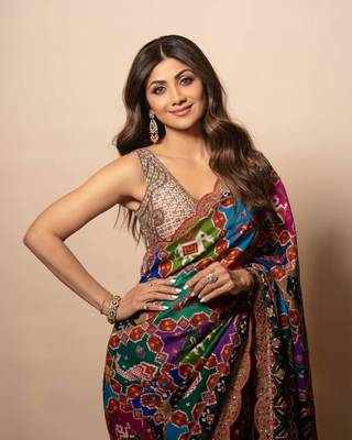 Multicolor traditional print saree 6